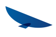 Condor Agency Logo